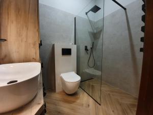 e bagno con servizi igienici e doccia in vetro. di APARTAMENT OVOC a Chodzież