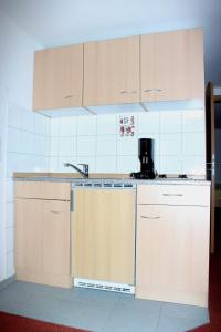 A kitchen or kitchenette at Das Apartmenthaus