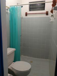 a bathroom with a toilet and a blue shower curtain at Hostal Las Cruces in Valladolid