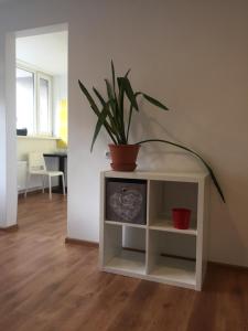 Gallery image of apartamenti Zirnis in Cēsis