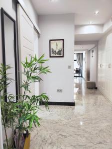 a hallway with white walls and a potted plant at BOHEMIAN & SUITES PANORAMIC -parking in Seville