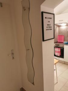 Kuchnia lub aneks kuchenny w obiekcie Zentrale, ruhige Wohnung nahe Murinsel & Kunsthaus