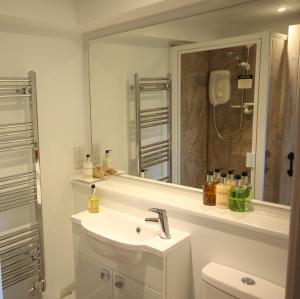 a bathroom with a sink and a mirror and a toilet at Berwick House in Sidmouth
