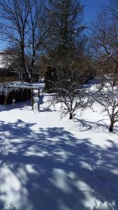a snow covered field with trees and a gazebo at Joli studio sympa in Saint-Jean-Saint-Nicolas
