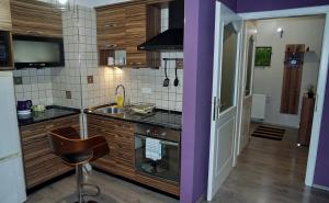 een keuken met een wastafel en een fornuis top oven bij Nidius Apartment in Debrecen