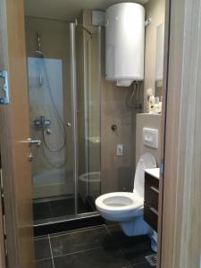 een badkamer met een douche, een toilet en een wastafel bij Vila Irina - Studio 15 lux in Kopaonik