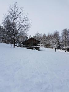 Chalet Le Forestier v zimě