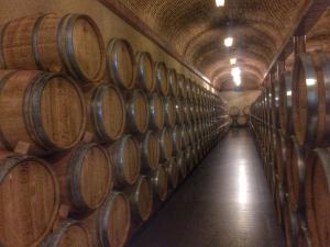 Imagen de la galería de Apartamento Ribera del Duero Reserva, en Tubilla del Lago