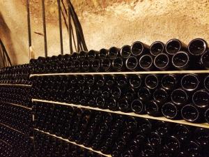 Imagen de la galería de Apartamento Ribera del Duero Reserva, en Tubilla del Lago