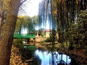 un puente verde sobre un río con árboles y agua en Apartamento Ribera del Duero Reserva, en Tubilla del Lago