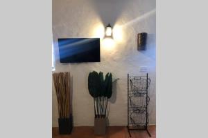 Una habitación con un televisor en una pared con una planta. en The Castle House - Unique Places, en Óbidos
