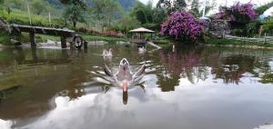 Afbeelding uit fotogalerij van Acantos Hotel Campestre in Támesis