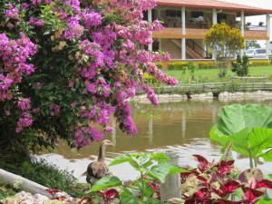 Afbeelding uit fotogalerij van Acantos Hotel Campestre in Támesis