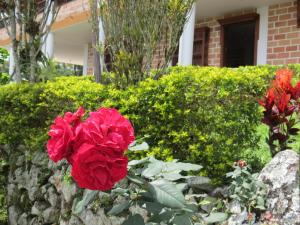 Afbeelding uit fotogalerij van Acantos Hotel Campestre in Támesis +54 foto's