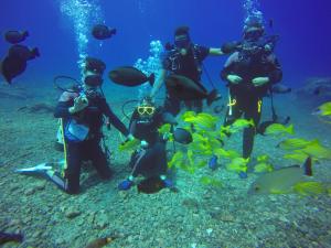 a group of people in the ocean with fish at Jimmy Explorer Campsite and Dive Center in Lanyu