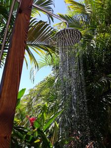 Giardino di chambre et table d’hôte au Diamant