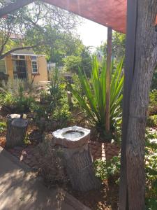 a garden with a stone seat in a yard at Tranquility in Klein Karoo in Oudtshoorn