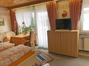 TV a/nebo společenská místnost v ubytování Haus Ingrid