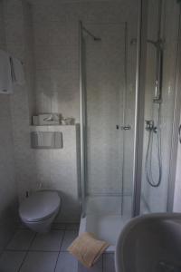 ein Bad mit einer Dusche, einem WC und einem Waschbecken in der Unterkunft Gästehaus Eschment in Bissersheim