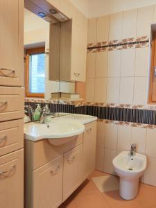 a bathroom with a sink and a toilet at Apartments Povh in Ljubno