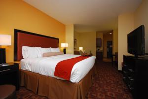 a hotel room with a large bed and a flat screen tv at Holiday Inn Express & Suites Gonzales, an IHG Hotel in Gonzales