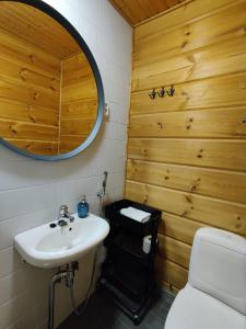 a bathroom with a sink and a toilet and a mirror at Rauhalahti Holiday Homes in Kuopio