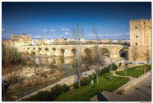 un puente sobre un río junto a un castillo en Apartamento Los Padrinos, en Córdoba
