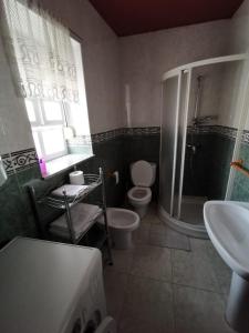 uma casa de banho com um WC, um chuveiro e um lavatório. em Casa Foz em Foz