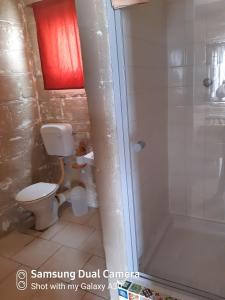 a bathroom with a toilet and a shower at Honnehokke Resort in Hondeklipbaai