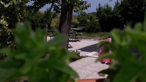 a picnic table in a park next to a tree at Villa Marianna in Vasto