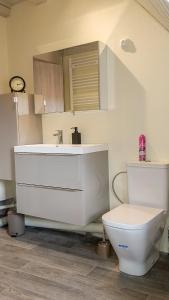 La salle de bains est pourvue d'un lavabo blanc et de toilettes. dans l'établissement Le Familial, à Kintzheim