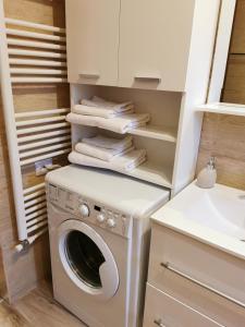 a laundry room with a washing machine and a sink at Charming apartment in villa in Iaşi