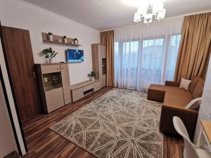 a living room with a couch and a tv at Charming apartment in villa in Iaşi
