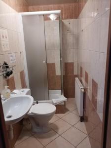 a bathroom with a shower and a toilet and a sink at Hotel Górsko in Wieliczka