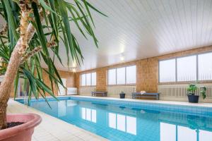 una gran piscina con una palmera al lado en Pension Haus Anny en Deudesfeld