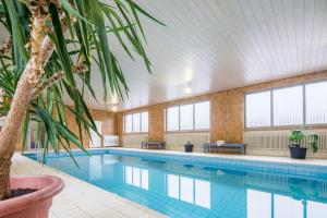 a large swimming pool with a palm tree next to it at Pension Haus Anny in Deudesfeld