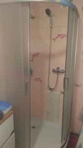 a bathroom with a shower with a glass door at APARTMAN RITA in Vinkovci