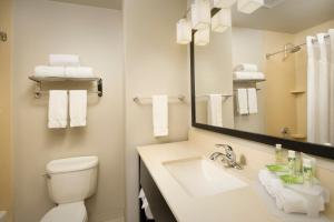 Koupelna v ubytování Holiday Inn Express Hotel and Suites DFW-Grapevine by IHG