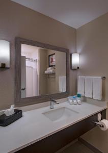 Koupelna v ubytování Holiday Inn Express & Suites Austin NW - Four Points by IHG