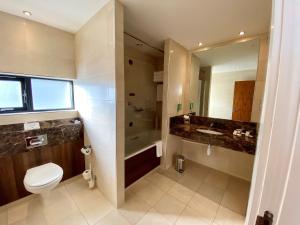 a bathroom with a toilet and a sink and a mirror at Glashaus Hotel in Tallaght