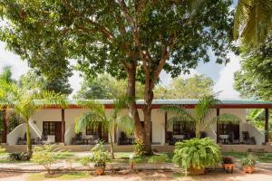 Gallery image of La Dolce Vita in Sigiriya