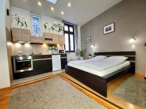een grote slaapkamer met een bed en een keuken bij Central Gold Apartment in Boedapest