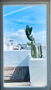 Balkón nebo terasa v ubytování Apartamentos Caravane