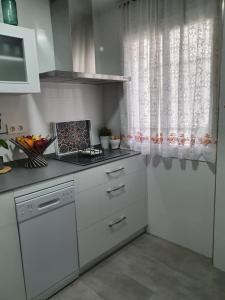 Kuchyňa alebo kuchynka v ubytovaní NOOL Sevilla