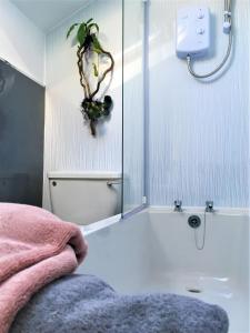 uma casa de banho com uma banheira e uma planta na parede em Heron's View em Ruthin