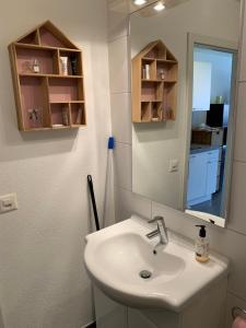 a bathroom with a sink and a mirror at C&C Eco Studio in La Sonnaz