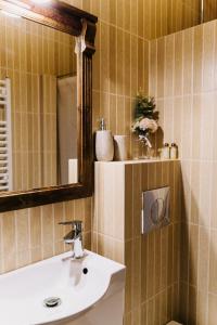 a bathroom with a sink and a mirror at Checz Kole Szperka in Rewa