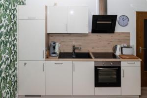 Kuchyň nebo kuchyňský kout v ubytování BIT-City Studio und Appartement