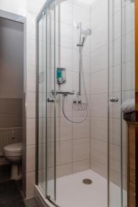 a shower stall in a bathroom with a toilet at BIT-City Studio und Appartement in Bitburg