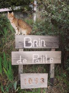 un chat assis sur un panneau à côté d'un panneau dans l'établissement Brindepaille, à Vallon-Pont-dʼArc